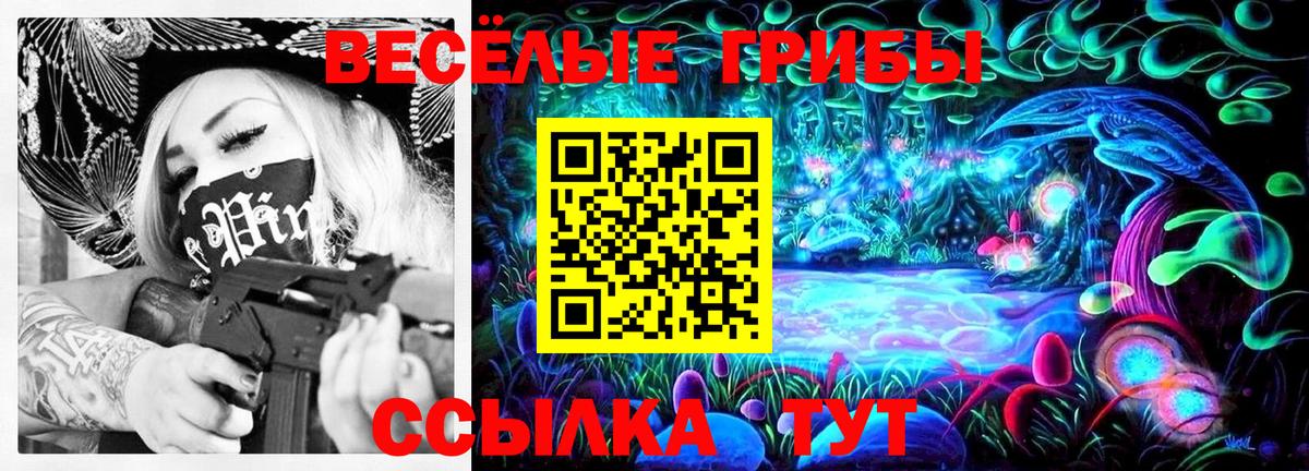 Вятские Поляны  Псилоцибиновые грибы GOLDEN TEACHER  Вход с VPN 