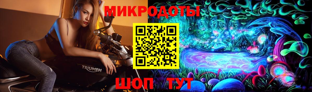Псилоцибиновые грибы прущие грибы Вятские Поляны